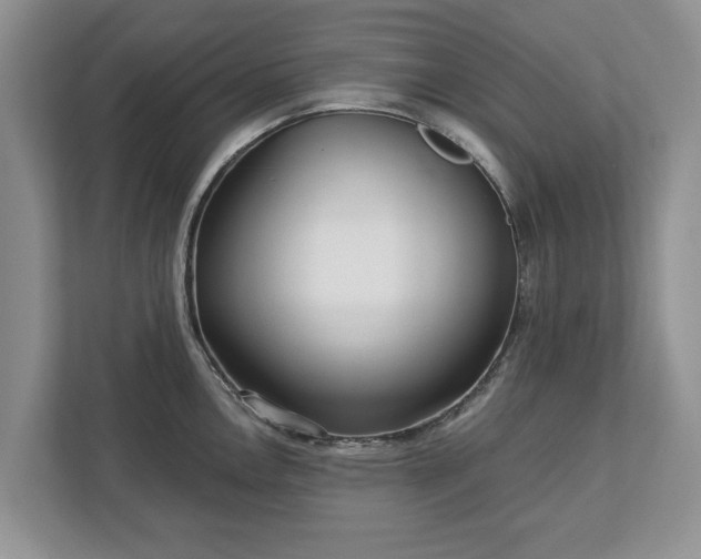 X0000113021146200909031226