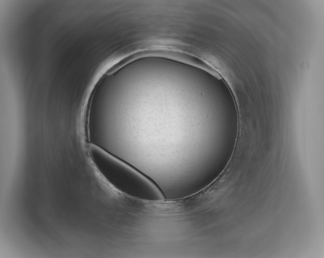 X0000113021152200909031226