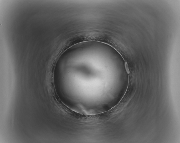 X0000113021153200909031226