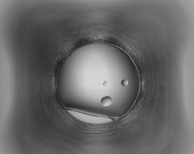 X0000113021156200909031225