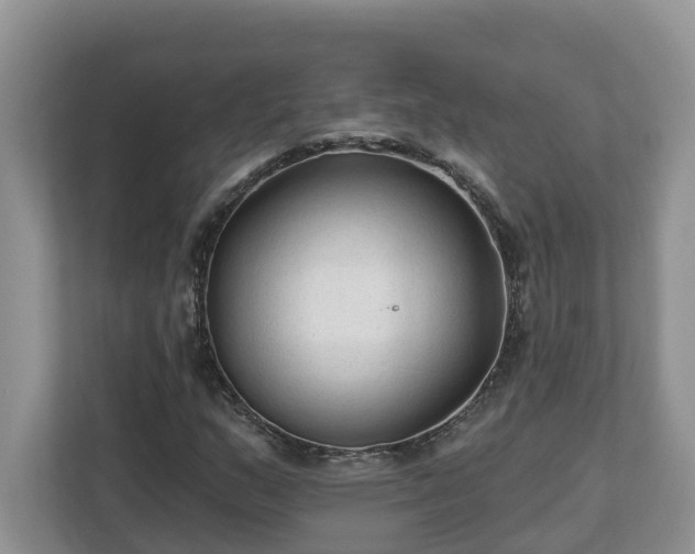 X0000113021159200909031225