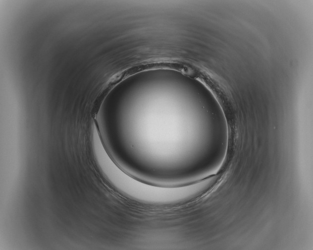 X0000113021161200909031225