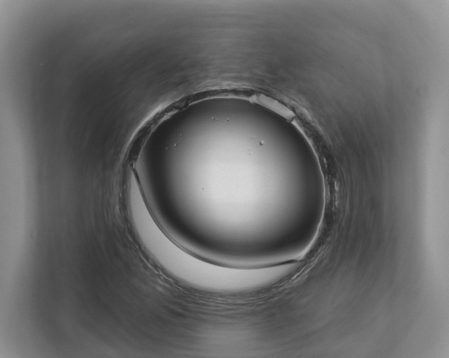 X0000113021165200909031225