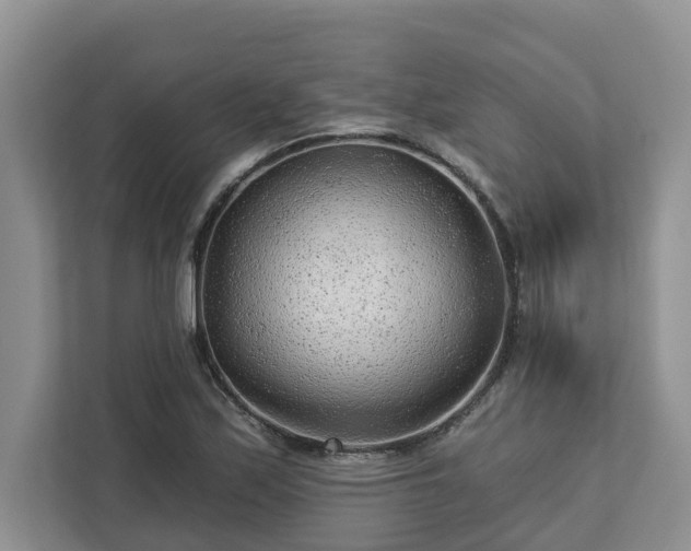 X0000113021171200909031225