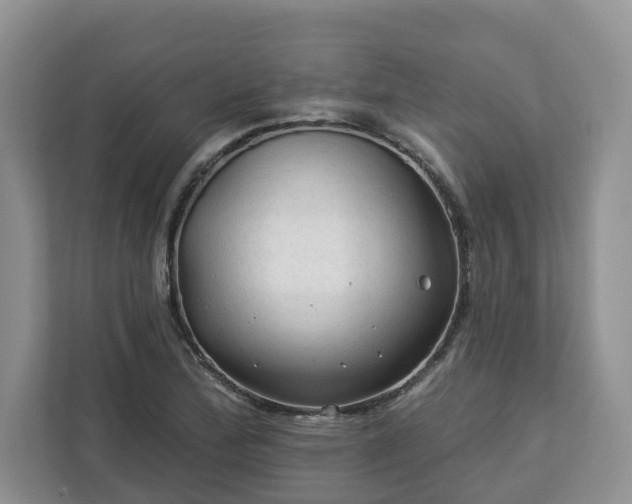 X0000113021172200909031225
