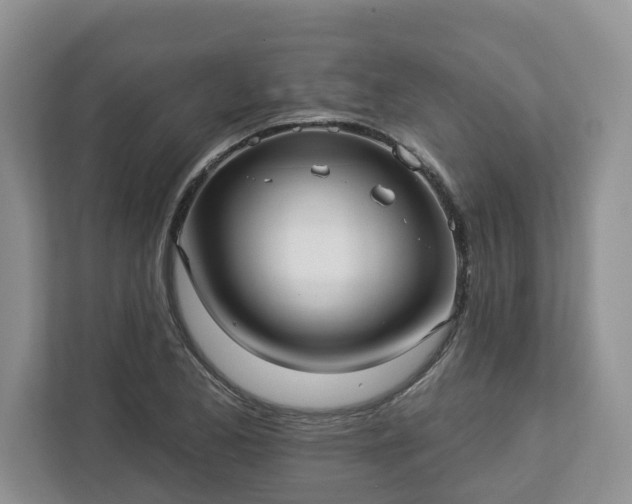 X0000113021173200909031225