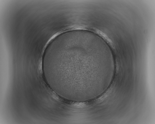 X0000113021174200909031225