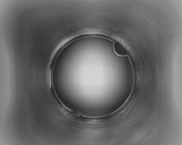 X0000113021175200909031225