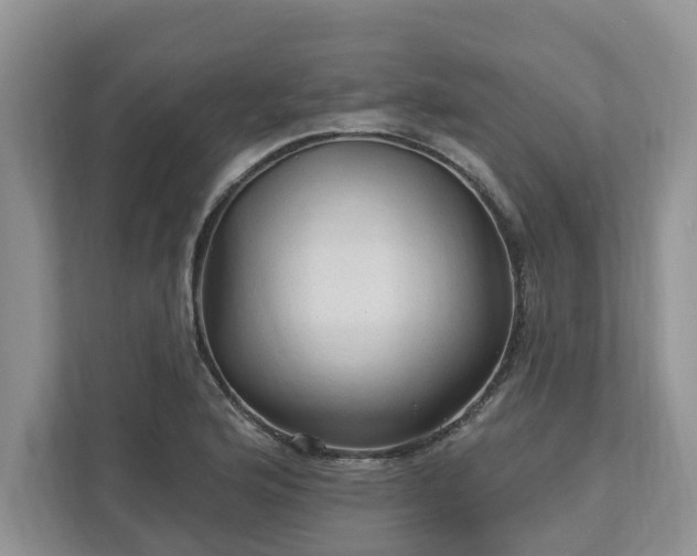 X0000113021176200909031225