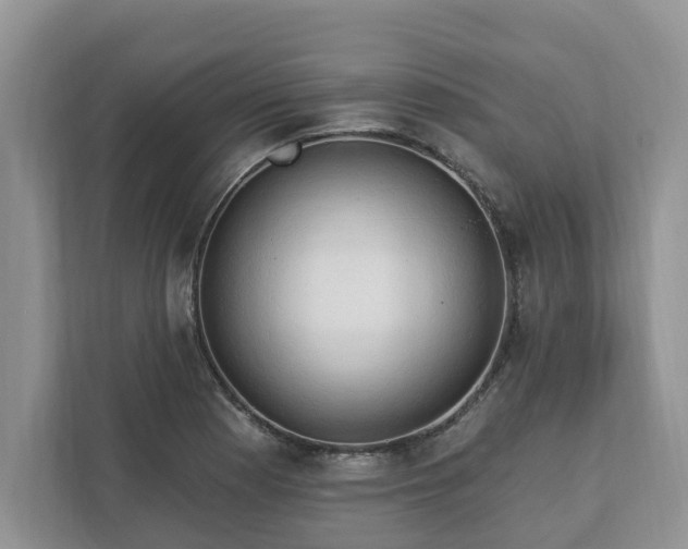 X0000113021177200909031225