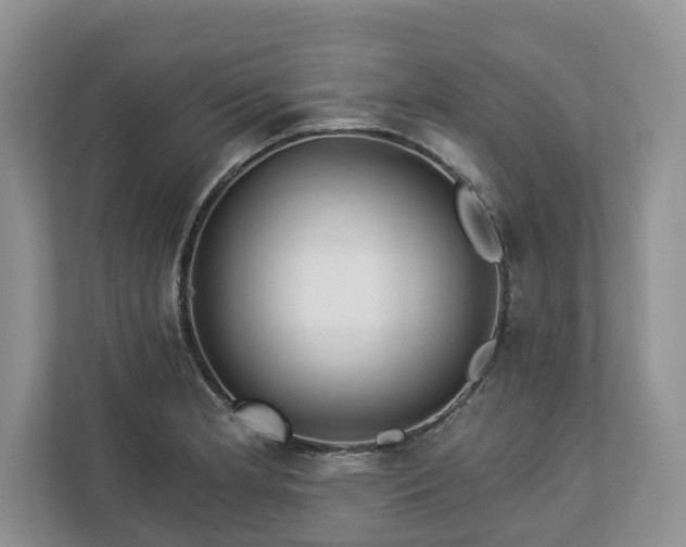 X0000113021181200909031225