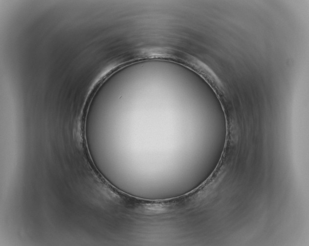 X0000113021182200909031225
