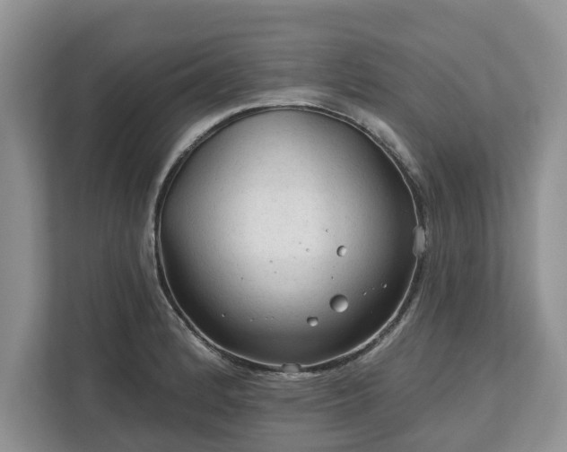X0000113021184200909031225