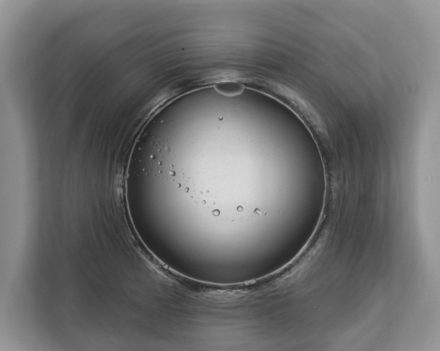 X0000113021185200909031225