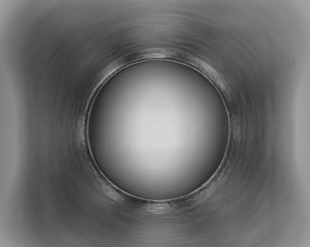 X0000113021186200909031225