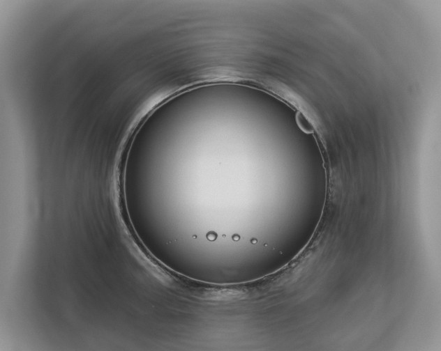 X0000113021187200909031225