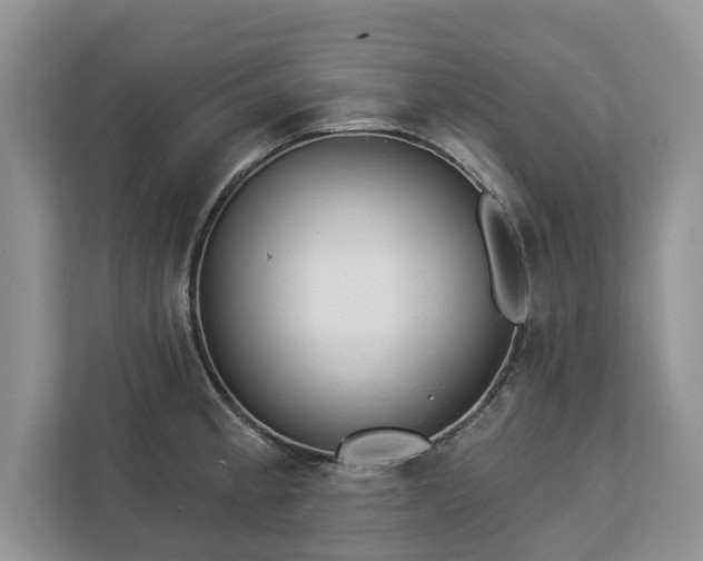 X0000113021189200909031225