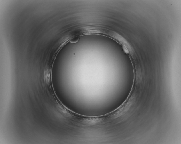 X0000113021193200909031225