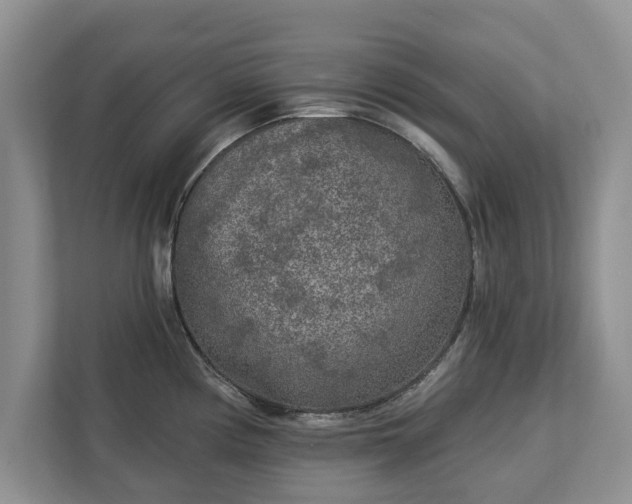 X0000113021194200909031225