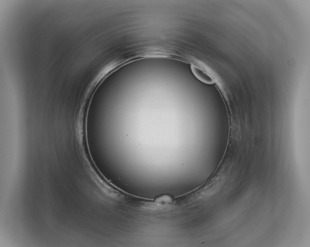 X0000113021195200909031225