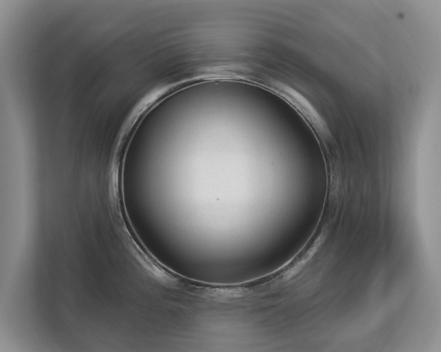 X0000113021196200909031225