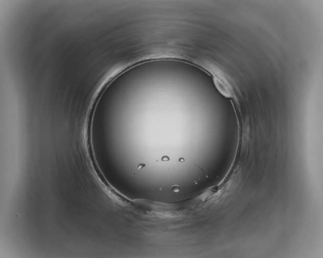 X0000113021197200909031225