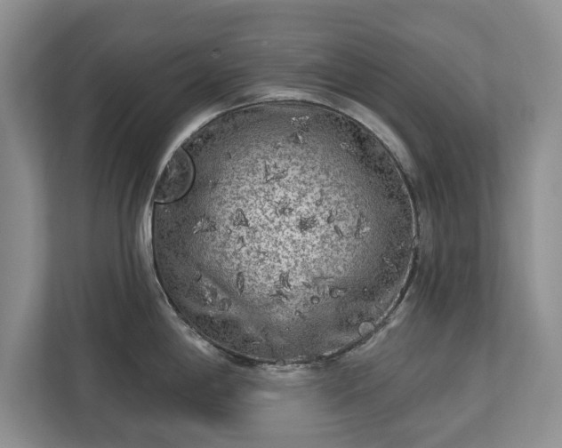 X0000113021198200909031225