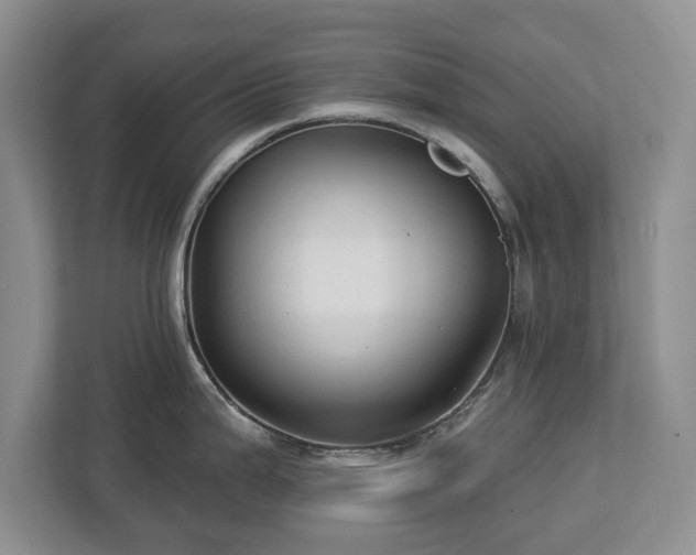 X0000113021199200909031225