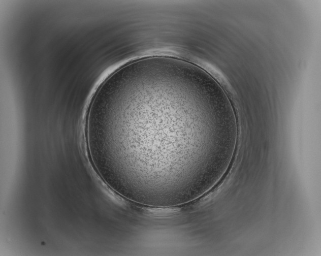 X0000113021200200909031225