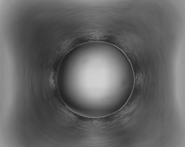 X0000113021202200909031224