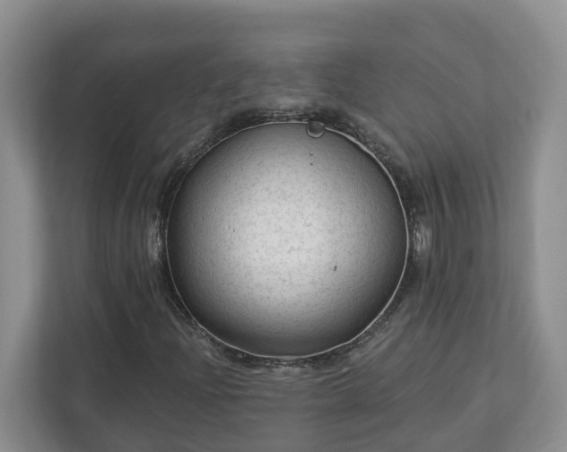 X0000113021204200909031224