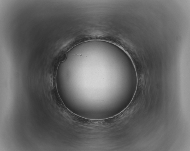 X0000113021205200909031224