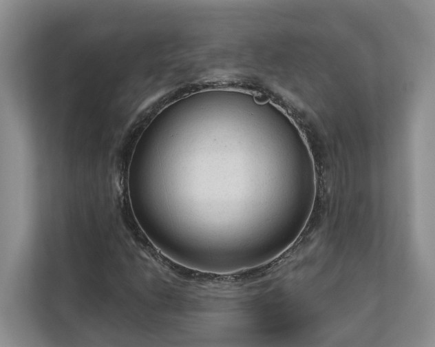 X0000113021206200909031224
