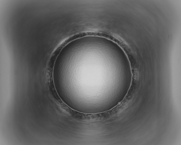 X0000113021208200909031224