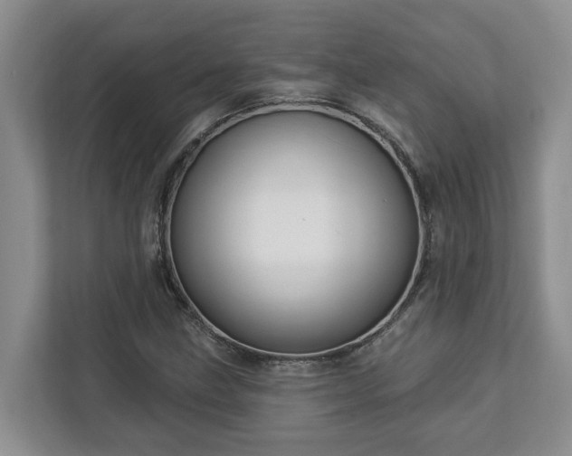 X0000113021211200909031224