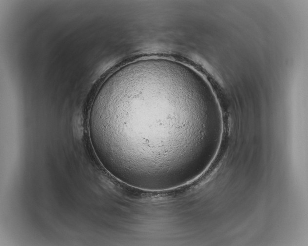 X0000113021213200909031224