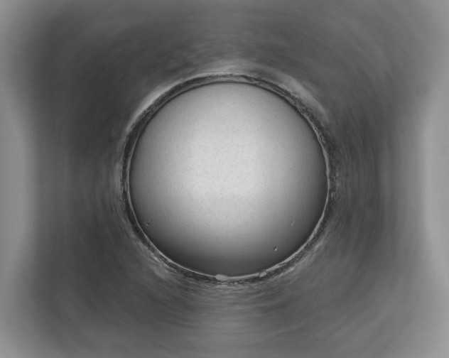 X0000113021216200909031224
