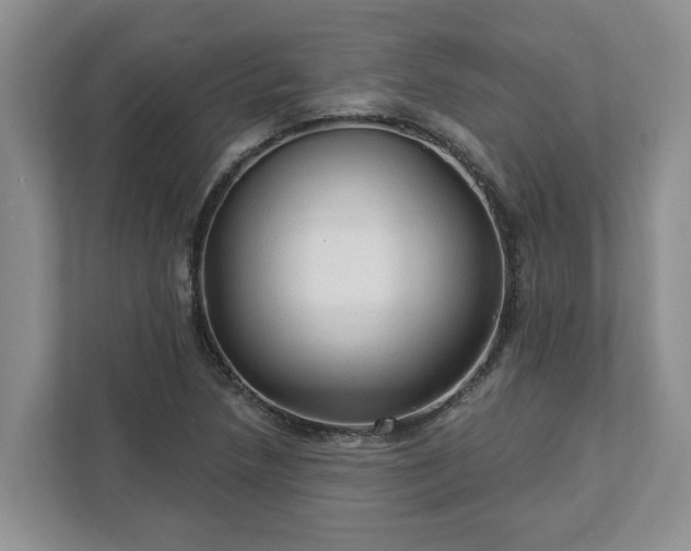 X0000113021218200909031224