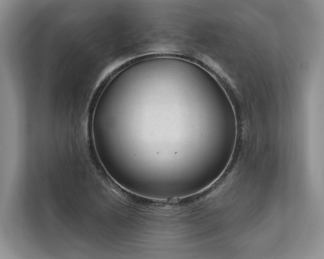 X0000113021222200909031225