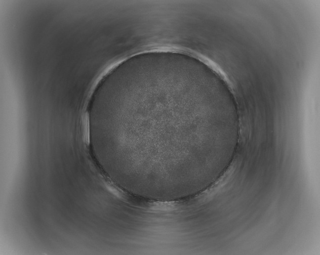 X0000113021223200909031225