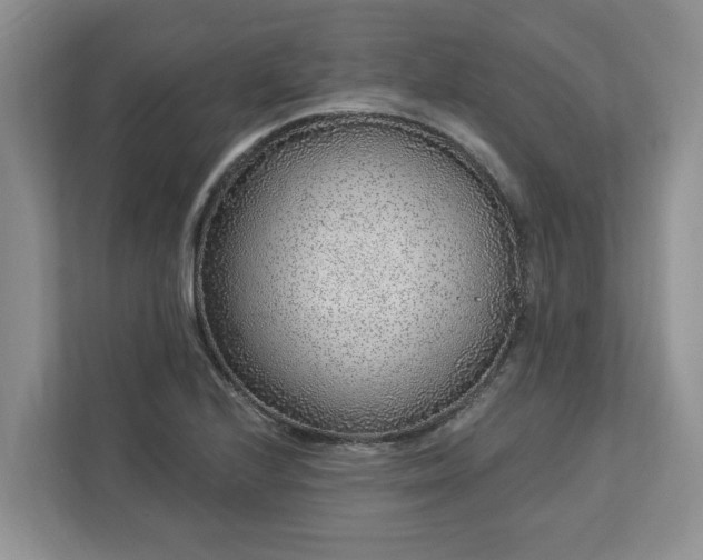 X0000113021224200909031225