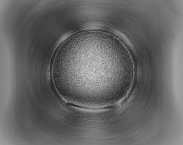 X0000113021226200909031225