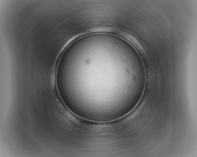 X0000113021228200909031225