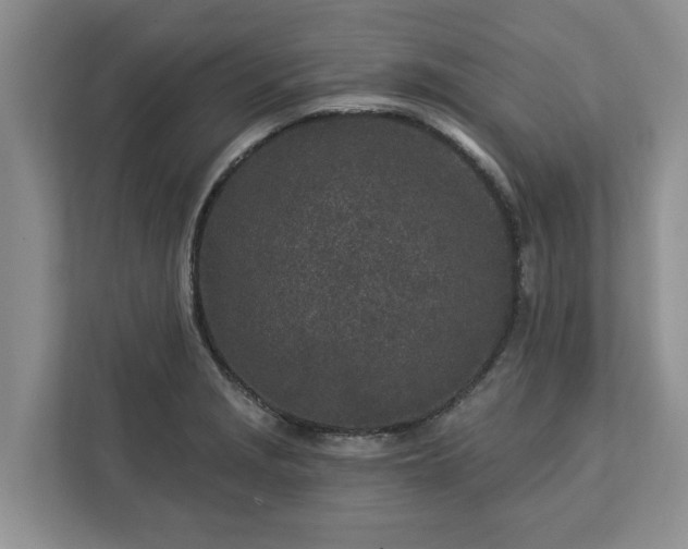 X0000113021229200909031225