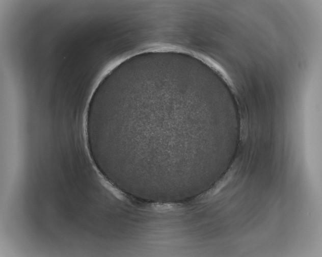X0000113021231200909031225