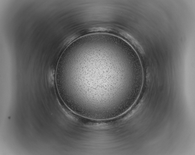 X0000113021233200909031225