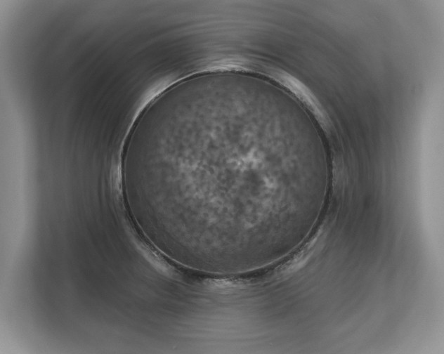 X0000113021234200909031225