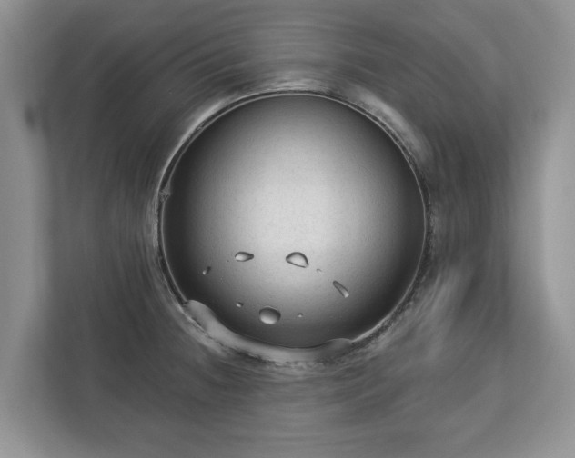 X0000113021236200909031225