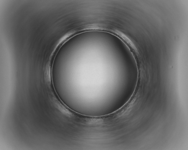X0000113021238200909031225