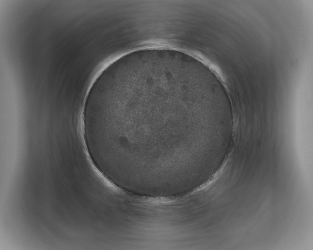 X0000113021239200909031225